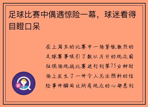 足球比赛中偶遇惊险一幕，球迷看得目瞪口呆